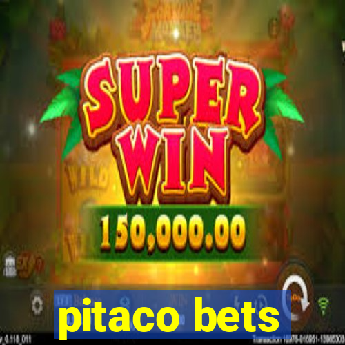 pitaco bets